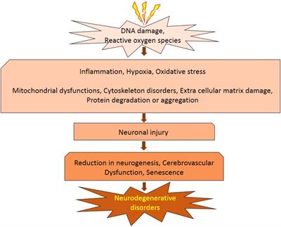 Role of Ionizing Radiation in Neurodegenerative Diseases